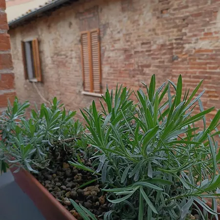 Pagum Place Bed & Breakfast Torrita di Siena